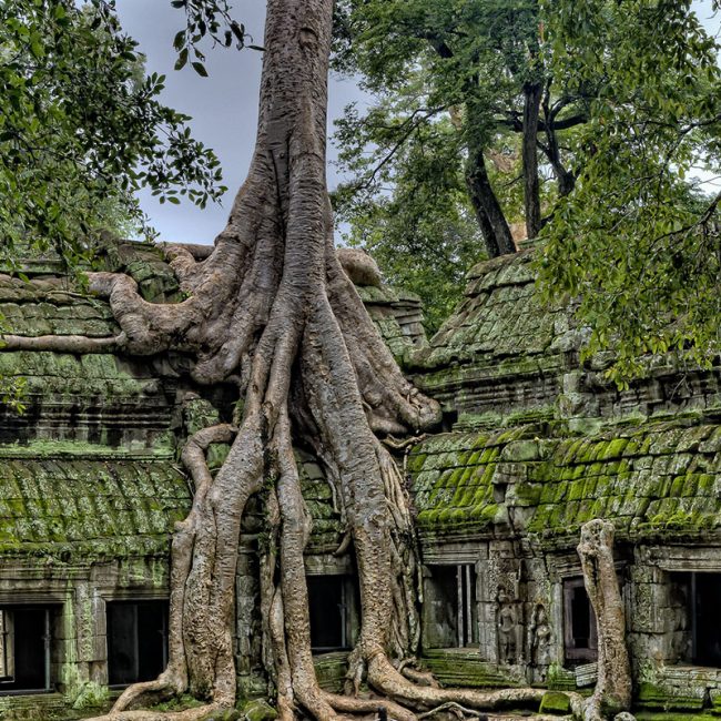 Viaje a Camboya - Señora Sheldon Agencia de Viajes