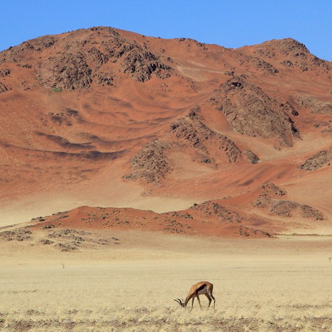 Viaje a Namibia - Señora Sheldon Agencia de Viajes