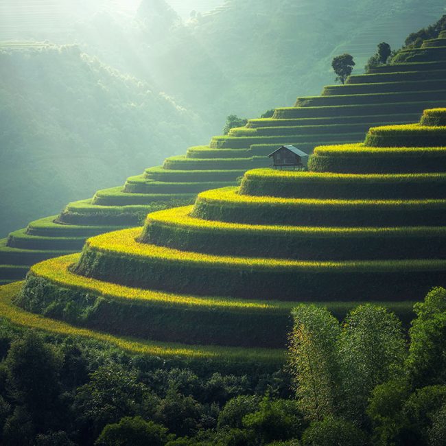 Viaje a Vietnam - Señora Sheldon Agencia de Viajes