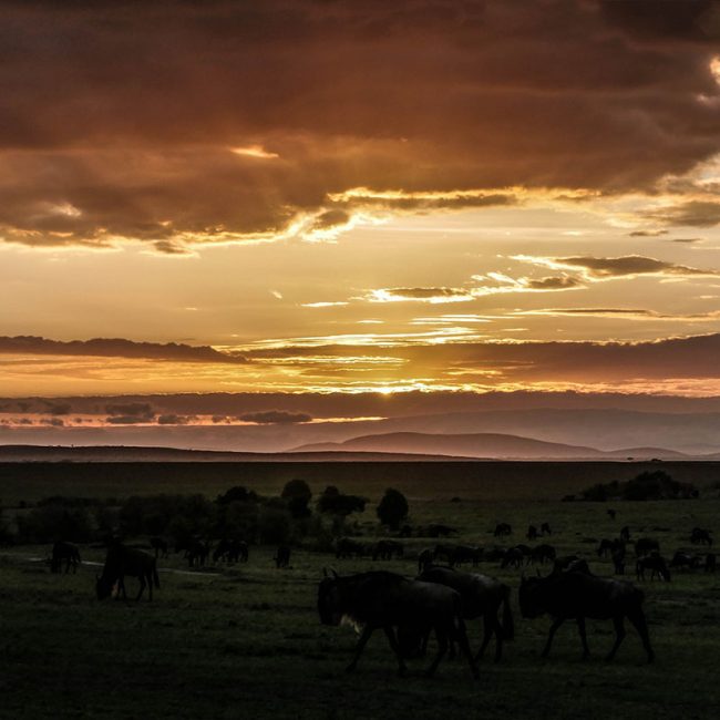 Viaje a Kenia - Señora Sheldon Agencia de Viajes