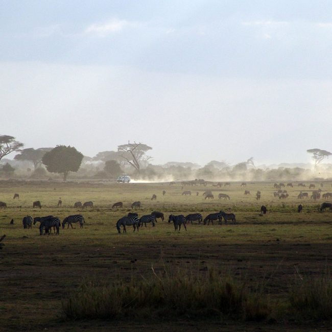 Viaje a Kenia - Señora Sheldon Agencia de Viajes