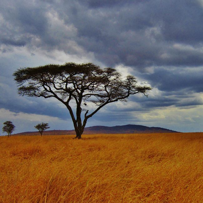 Viaje a Tanzania - Señora Sheldon Agencia de Viajes