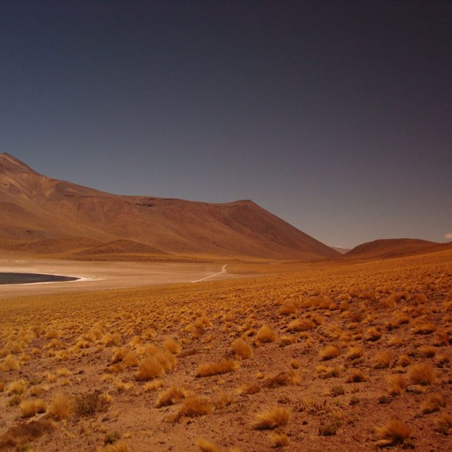 Viaje a Chile - Señora Sheldon Agencia de Viajes